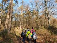 Schülergruppe im Wald (Foto: Rave) Schülergruppe im Wald.
