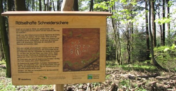 Informationstafel zur Schneiderschere (Foto: Stadt Heidelberg) Informationstafel zur Schneiderschere.