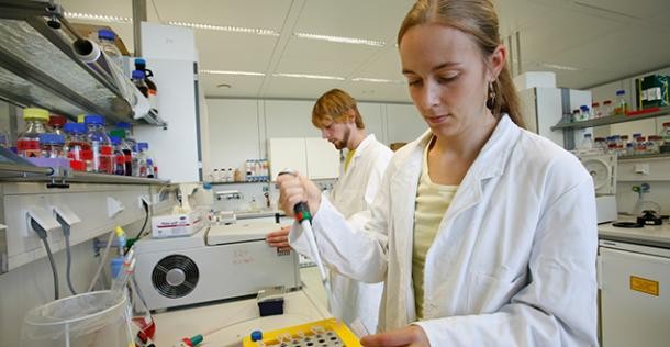 Forscher im Labor (Foto: Universität Heidelberg) Forscher im Labor (Foto: Universität Heidelberg)