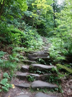 Heidelbergs Himmelsleiter (Foto: Stadt Heidelberg) Heidelbergs Himmelsleiter.