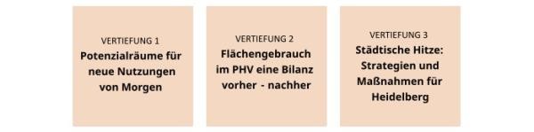 Fachliche Vertiefungen Cluster 1 (Grafik: Stadt Heidelberg) Fachliche Vertiefungen Cluster 1
