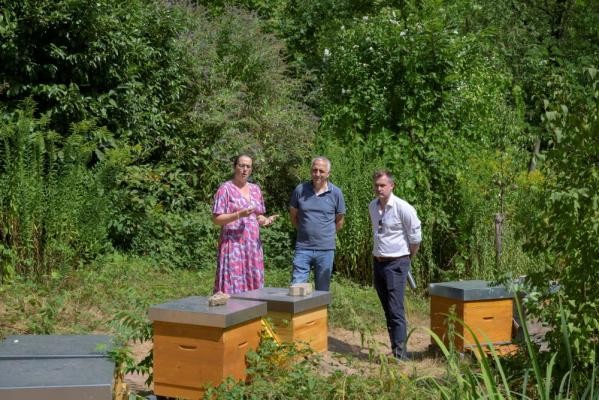 Dr. Kristin Krewenka (Geschäftsstelle Landesverband Badische Imker e.V.) zeigte anschaulich bei dem Rundgang die Bedeutung der Bienenpopulationen für die Region und wies auf aktuelle Entwicklungen und Tipps für den richtigen Umgang mit Bienen hin. (Foto: Philipp Rothe) Dr. Kristin Krewenka (Geschäftsstelle Landesverband Badische Imker e.V.) zeigt Jochen Koch vom städtischen Umweltamt und Bürgermeister Raoul Schmidt-Lamontain die Bienenkästen.