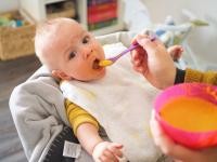 Für Eltern mit Babys und Kleinkindern bietet das Familienbüro der Stadt Heidelberg wieder offene Gruppen in der Plöck 2a an. (Foto: Jule Stephany) Baby wird mit Brei gefüttert.