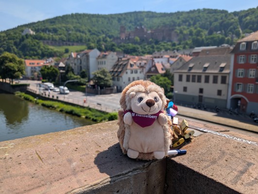 Plüsch-Igel „Stachelbert“ auf der Alten Brücke. Der fair gehandelte Kampagnenbotschafter wirbt in Heidelberg für fairen Handel und lokalen Artenschutz. (Foto: Stadt Heidelberg) Ein Plüsch-Igel sitzt auf der Alten Brücke.
