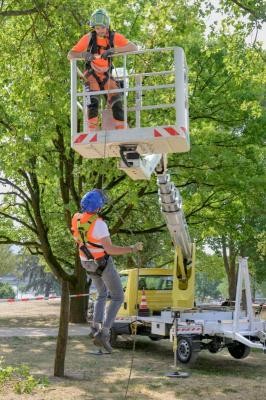 Aus rund drei Metern Höhe seilt sich Umweltbürgermeister Raoul Schmidt-Lamontain bei einer Rettungsübung unter Anleitung von Philipp Rettke (Landschafts- und Forstamt) aus dem Arbeitskorb der Hebebühne ab. (Foto: Philipp Rothe) Zwei Mitarbeitende führen Baumpflegearbeiten durch.