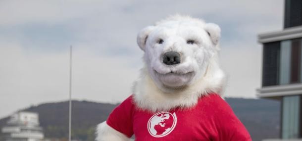 Der Eisbär - das Maskottchen für Klimaschutz in Heidelberg. (Foto: Buck) Das Maskottchen Eisbär steht vor einer Photovoltaikanlage