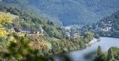 Ansicht auf den Neckar und Stift Neuburg. (Foto: Diemer) Ansicht auf den Neckar und Stift Neuburg. Im Hintergrund ist der Wald zu erkennen. (Foto: Diemer)