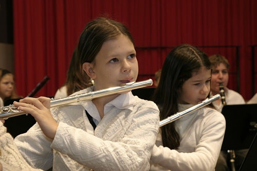 Instrumente kennenlernen können Kinder und Jugendliche beim Tag der offenen Türen der Musik- und Singschule am 4. Juli. (Foto: Musik- und Singschule)