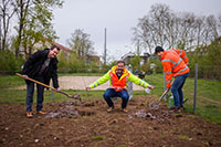 Drei Männer beim Einpflanzen von Bäumen