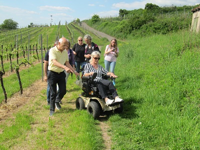 Auch unwegsames Gelände ist mit dem geländegängigen Elektrorollstuhl zu erkunden. Foto: Stadt Heidelberg Auch unwegsames Gelände ist mit dem geländegängigen Elektrorollstuhl zu erkunden