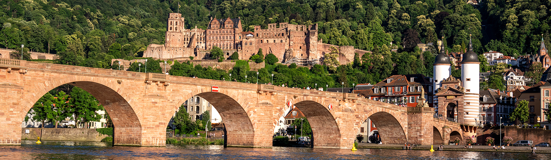 Blick auf alte Brücke und Schloss 