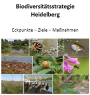 Heidelberger Biodiversitätsstrategie Heidelberger Biodiversitätsstrategie