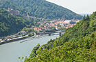 Bilck ins Neckartal mit Wald (Foto: Anspach)