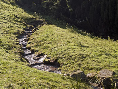 Entdolung Schlierbach (Foto: Stadt Heidelberg)