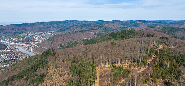 Luftaufnahme Lammerskopf (Foto: Tobias Dittmer) Luftaufnahme Lammerskopf